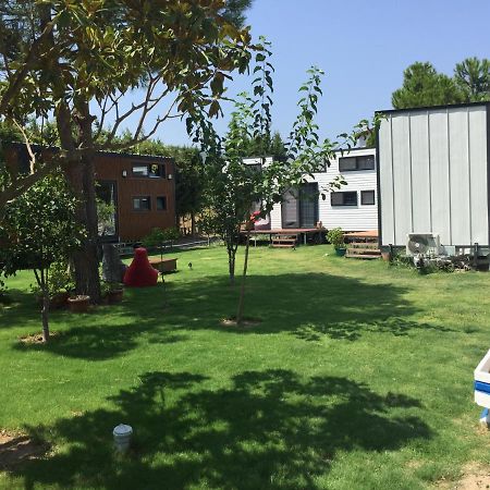 Sakiz Tiny House & Apart Urla Exterior photo